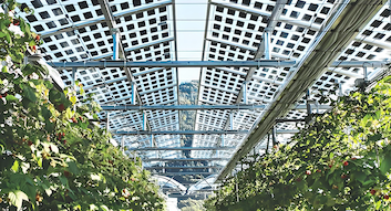 Son şirket blogları hakkında İtalya, Güneş Enerjisi Projesi Yer Seçimi ve Güneş Enerjisi Vergi Teşvikleri Hakkında Yeni Düzenlemeler Yayınladı